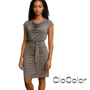 CloColor Silver With Belt WhimsiGoth BodyCon Dress NWT Size S
